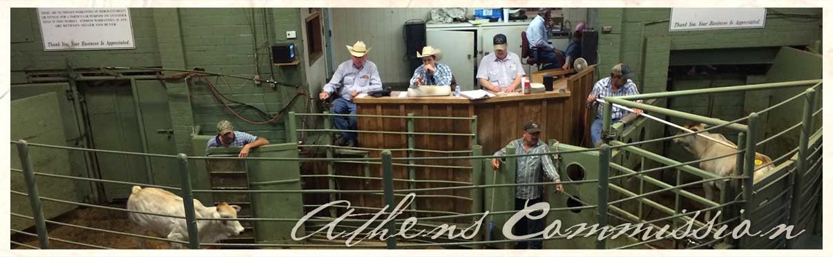 emory tx livestock auction market report